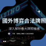 TZ casino License